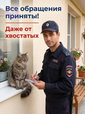 Обращение от хвостатого